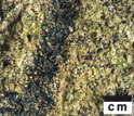 Detailed photo of peridotite, a pale green olive-colored rock