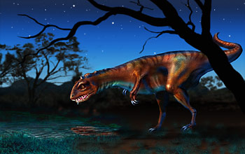 The predatory dinosaur, <em>Majungatholus atopus</em>, had a very bird-like pulmonary system.