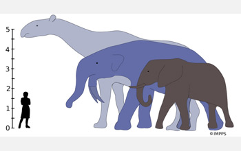 The largest land mammals that ever lived would have towered over the living African Elephant.