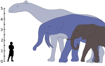 largest land animals