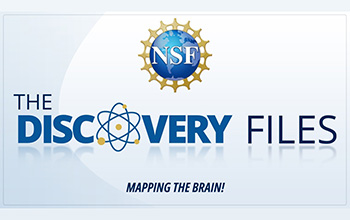 discovery files banner logo