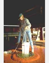 Technicians study plankton and invertebrate populations in ballast water from ships