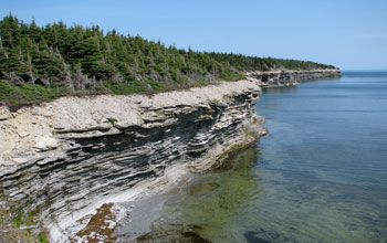 Photo of a coastal outcrop exposure of Late Ordovician Ellis Bay Formation.