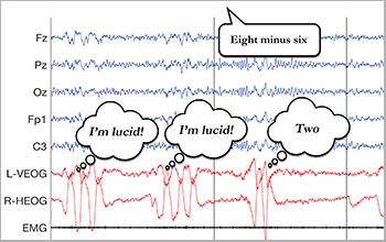 a recording of electrical signals from a sleeping participant's mind and eyes