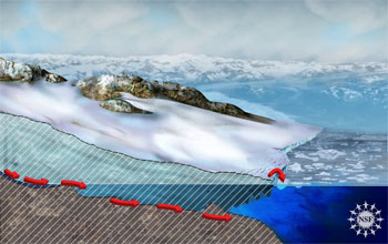 When a glacier thins, its weight slides faster into the ocean.