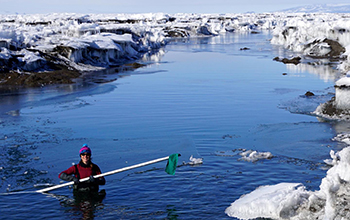Alison Banwell in Antarctic meltwater