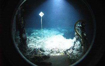 Photo of a hydrothermal vent field seen through the porthole of the submersible Alvin.