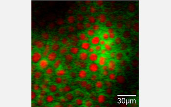 two-color SRS imaging.