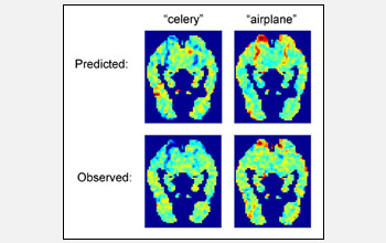 Images from computer-predicted and actual functional magnetic resonance imaging scans.