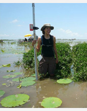Photo of NCED undergraduate student surveying land development in the Wax Lake Delta.