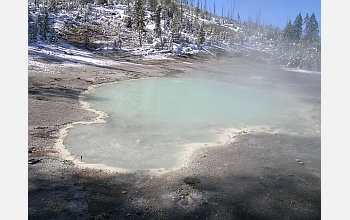 A boiling hot spring from Yellowstone National Park, where mobile viruses live.