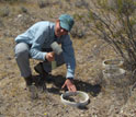 Photo of Carrie McCalley installing soil collars used to measure nitrogen flux in desert soils.