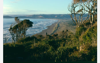 Photo of the Chilean coastline.