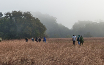 group walking through a grass field in Gabon