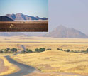 Photo of vegetation covering stony desert of Namibia and inset showing desert without plants.