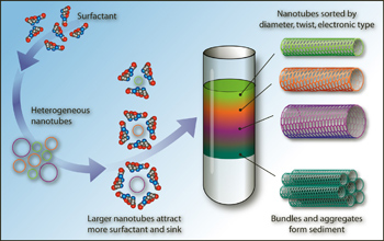 Single-walled carbon nanotubes are coated in soap-like molecules.