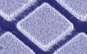 Yang and his colleagues have grown arrays of zinc oxide and gallium nitride nanowires.