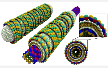 The new "smart" bio-nanotubes.