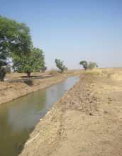 a canal in the Logone floodplain in Cameroon.