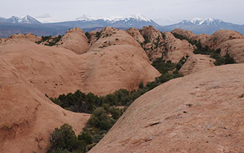 Navajo Sandstone from the Moab, Utah, area