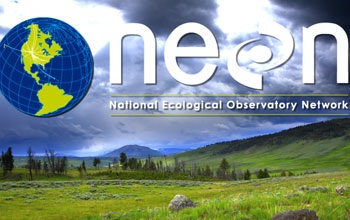 the globe, ENON logo and a green field with mountains