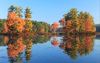 Harvard Pond lies within the Harvard Forest