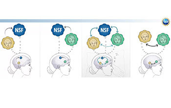 Illustration of a sleeping person processing information.