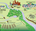 Illustration showing how excess nitrogen goes through the environment and into rivers and streams.