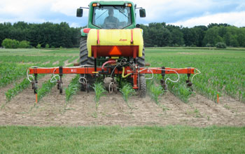 A farmer on a tractor tending to an agricultural crop.