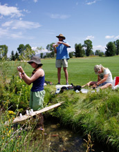 Photo of scientists collecting stream water samples on a golf course near Jackson Hole, Wyoming.