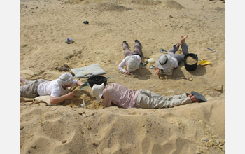 Paleontologists excavating Birket Qarun Locality 2, which produced the Nosmips fossils.