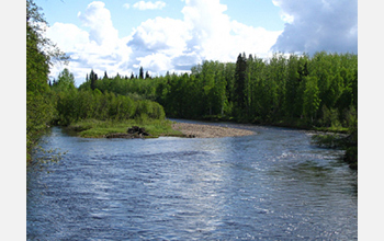Photo of the Bonanza Creek Long Term Ecological Research (LTER) in Fairbanks, Alaska.