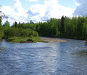 Photo of the Bonanza Creek Long Term Ecological Research (LTER) in Fairbanks, Alaska.