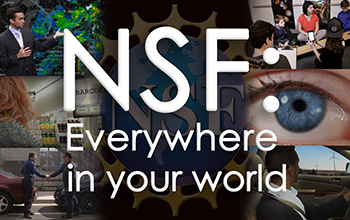 nsf everywhere in your world