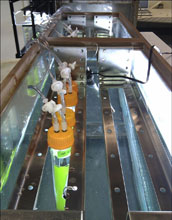 the measurement of carbon dioxide consumed by growing algae.