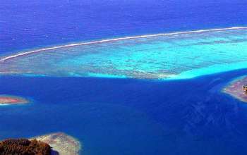 aerial view of NSF's Mo'orea Coral Reef Long-Term Ecological Research site