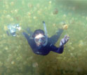 Photo of scientist Kakani Young of Caltech using a new particle image system in Jellyfish Lake.