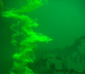 Photo showing harmless dye that tracks Jellyfish Lake water flow.