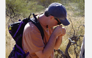 Photo of Tim Lyons looking at weathered outcrop samples.