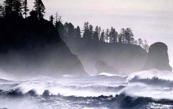 Photo of waves and a rocky, tree covered coast.