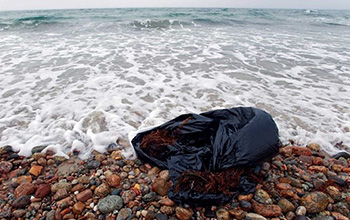 plastic bag near the ocean
