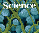 Cover of Sept. 26, 2008, Science-lehti.