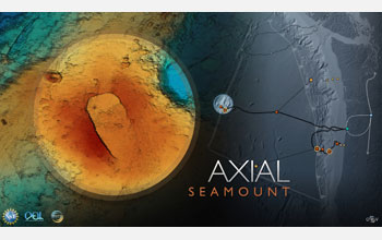 Axial Seamount on the Juan de Fuca Ridge.