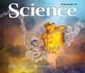 Cover of the February 20, 2009 edition of the journal Science.