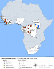 Outbreak distribution map of Ebola in Africa, since its first known incidence.