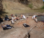 Paleontologists at work in Tanzania on research that led to the find of the new carnivore species.