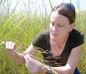 Photo of University of Michigan's Shelie Miller, one of the 2009 PECASE awardees.