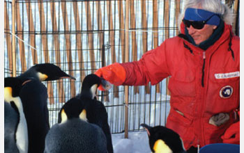 Photo of Jerry Kooyman feeding penguins