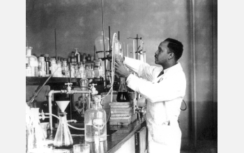 Young chemist working in lab