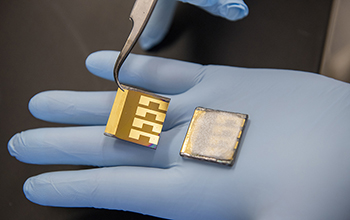 two laboratory solar cell samples